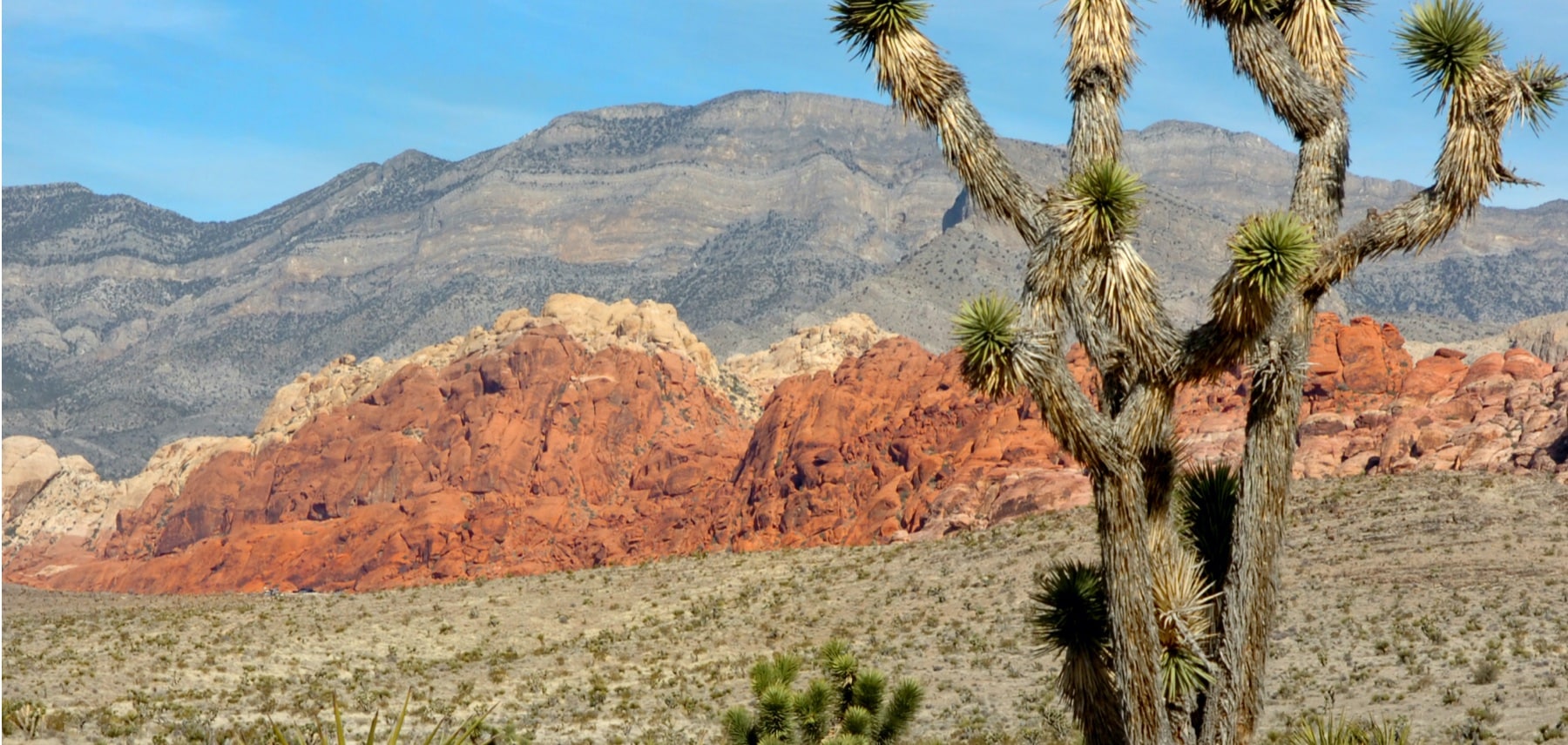 Red Rock Canyon