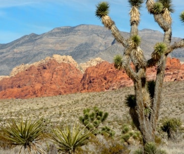 Image : Red Rock State Park