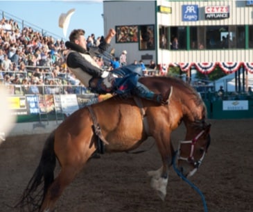 Image : Reno Rodeo