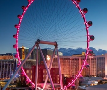 Image : The LINQ + Experience