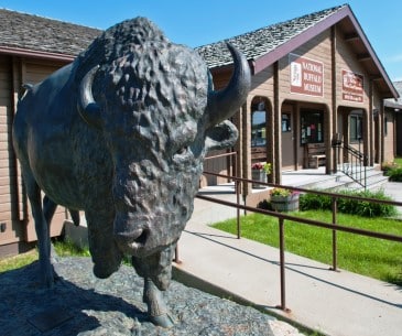 Image : National Buffalo Museum