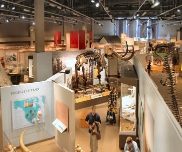 Image : State Museum at the North Dakota Heritage Center