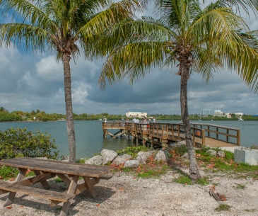 Image : Oleta River State Park