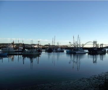 Newport