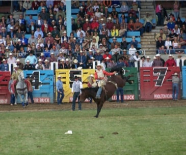 Image : Pendleton Round-Up