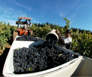 Image : The Willamette Valley
