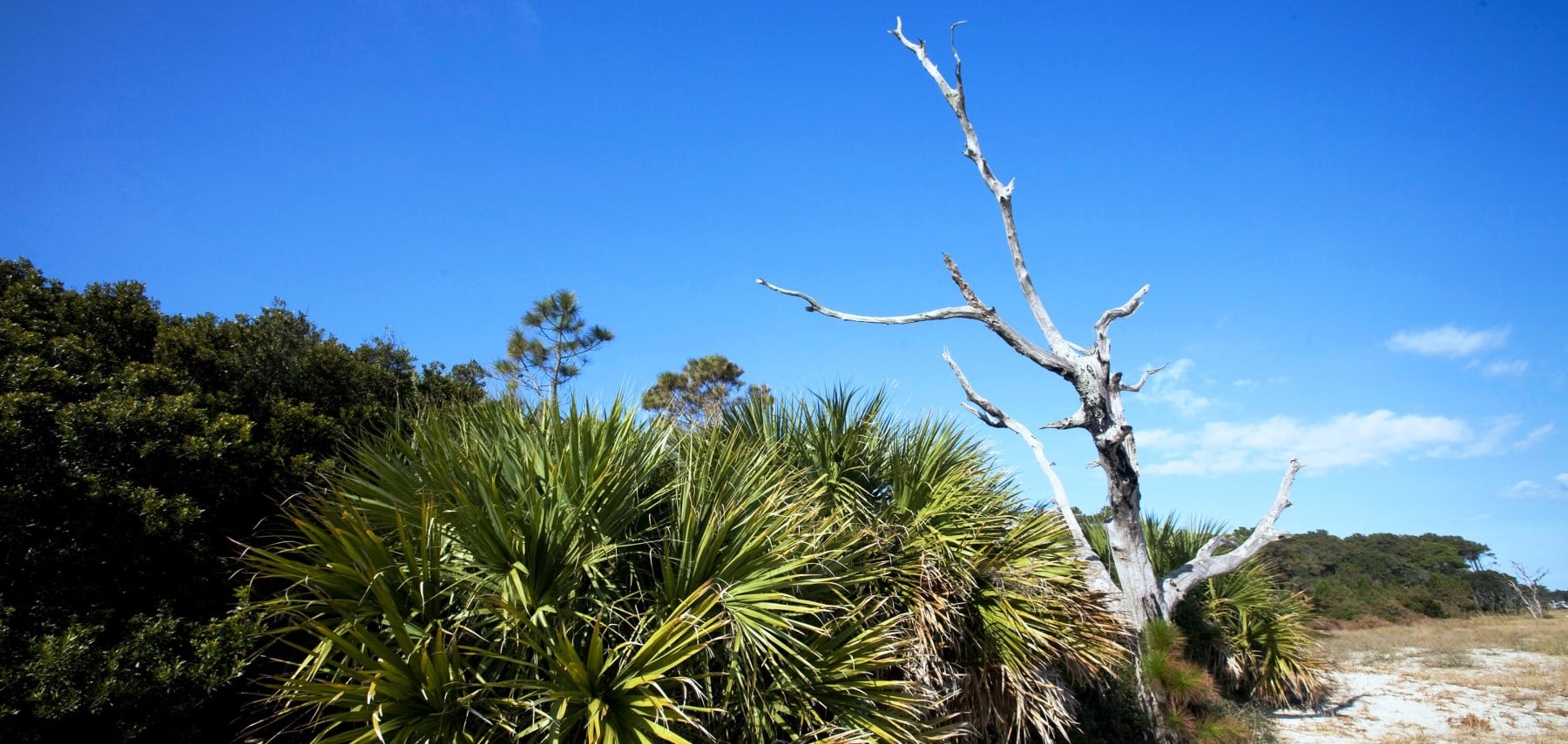 South-Carolina-Daufuskie-Island-Historical_Cultural-Tour