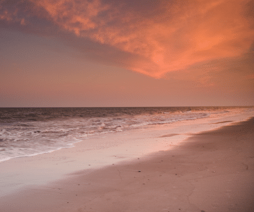 Image : Edisto State Park
