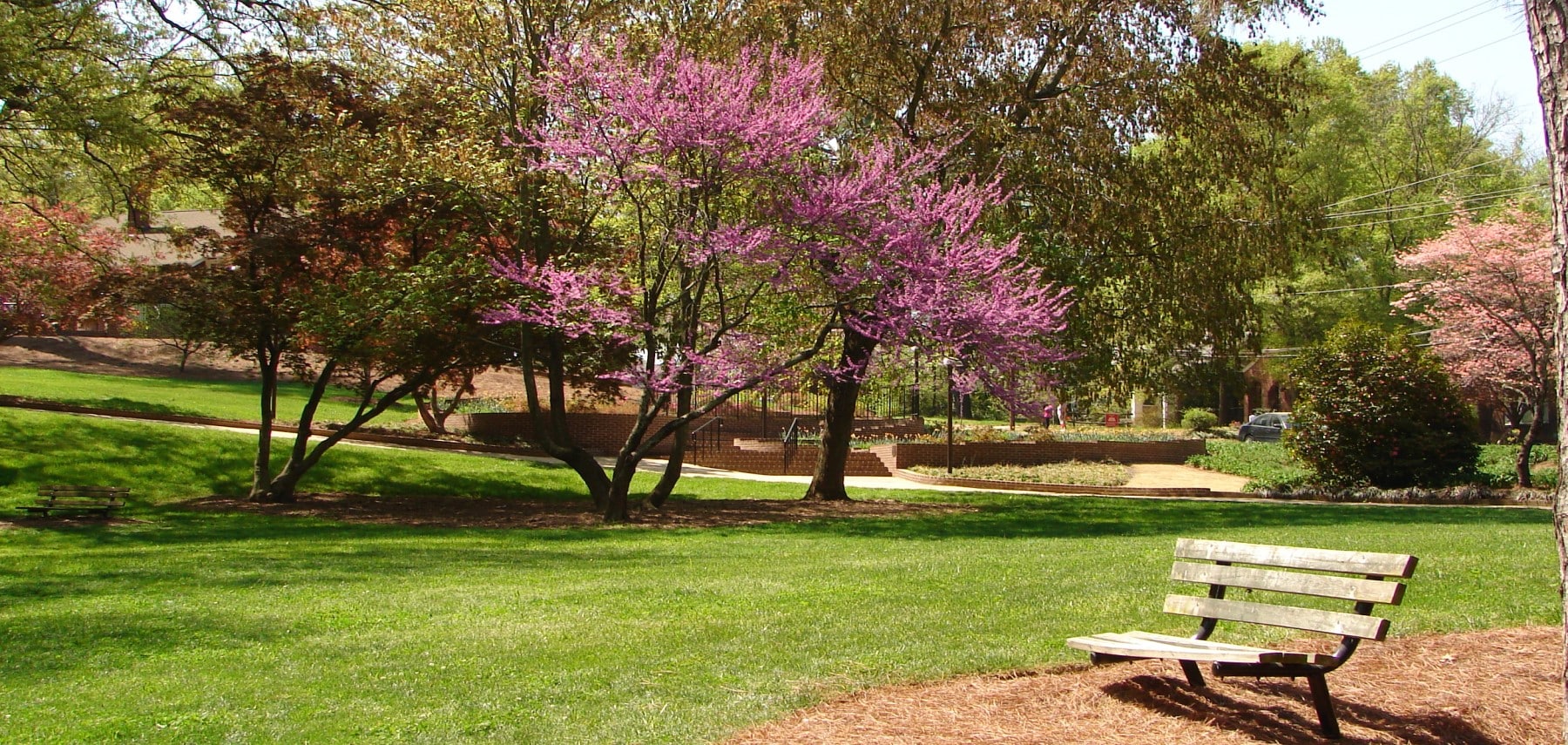 South-Carolina-Rock-Hill