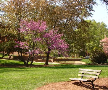 Rock Hill