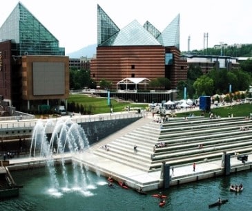 Image : Tennessee Aquarium