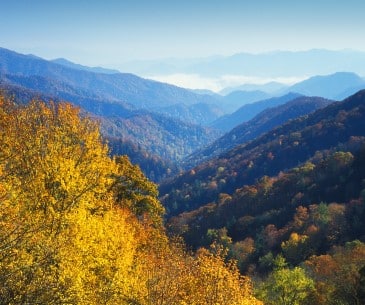 Image : Great Smoky Mountains National Park