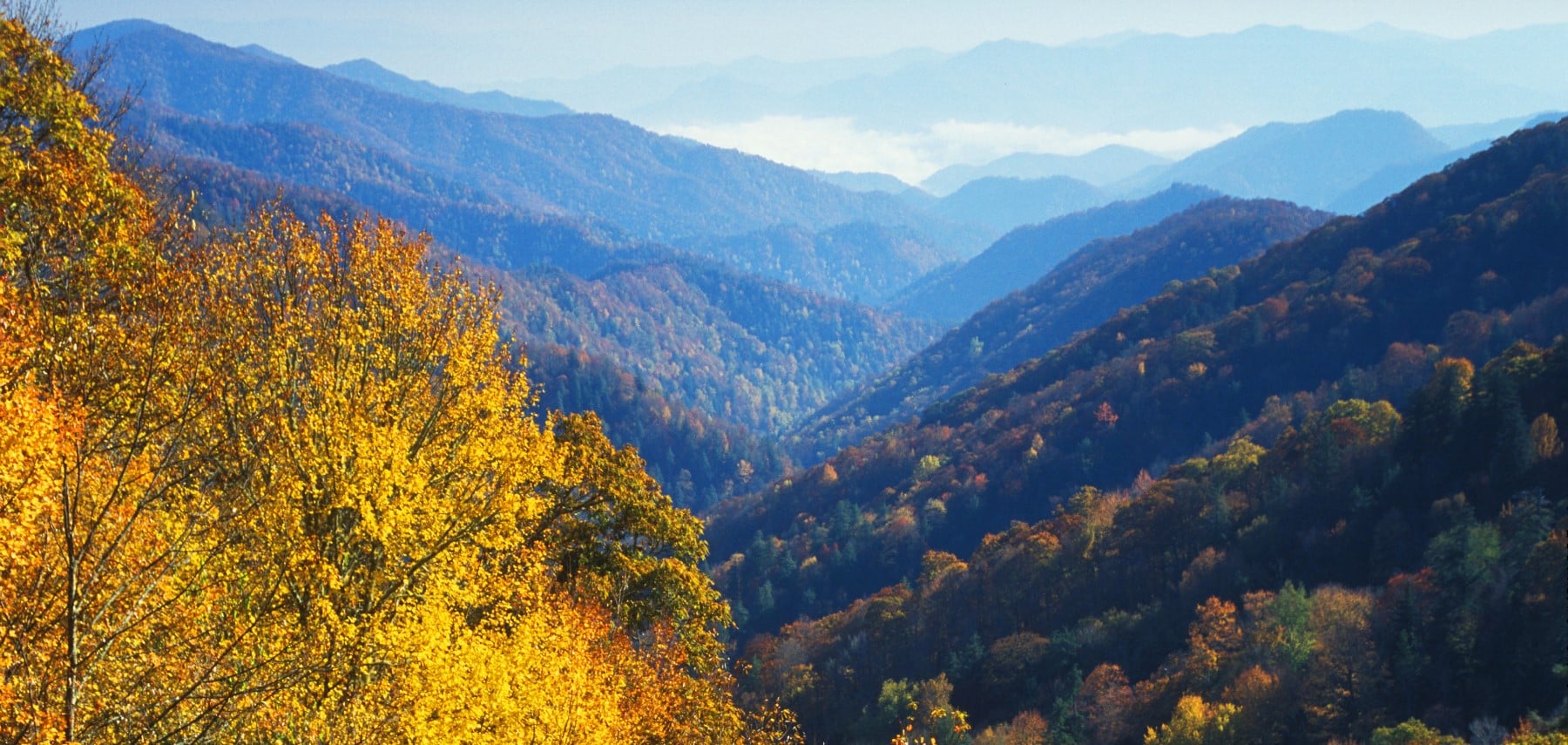 Tennessee-Great-Smoky-Mountains-National-Park
