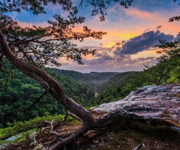 Image : Obed Wild and Scenic River