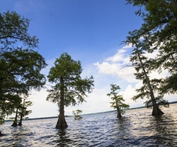 Image : Tennessee River Trails