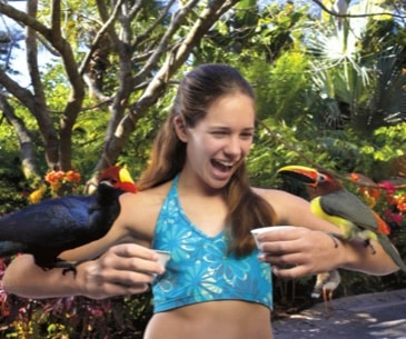 Image : Aquatica San Antonio
