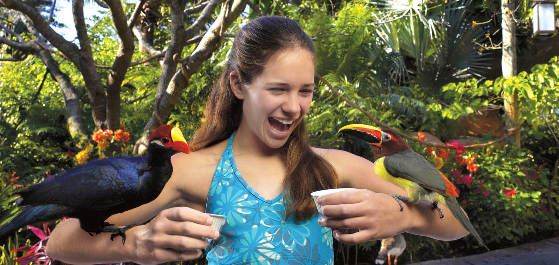 Texas-Aquatica-San-Antonio