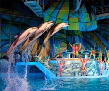 Image : SeaWorld San Antonio