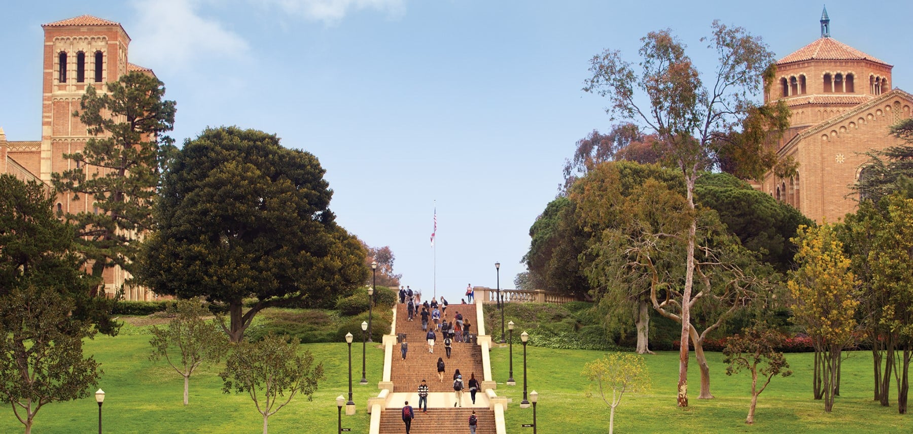 UCLA 1800