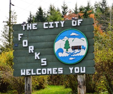 Image : Forks