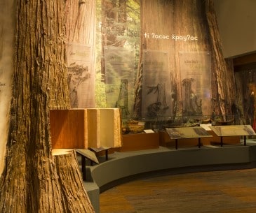 Image : Hibulb Cultural Center
