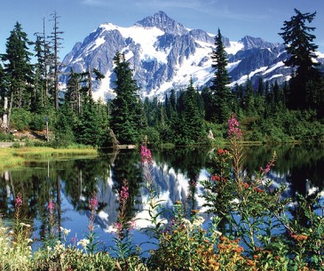 Image : Mount Baker