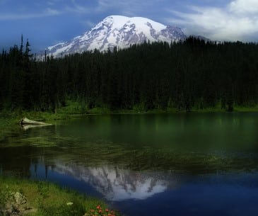 Image : Mt Rainier National Park