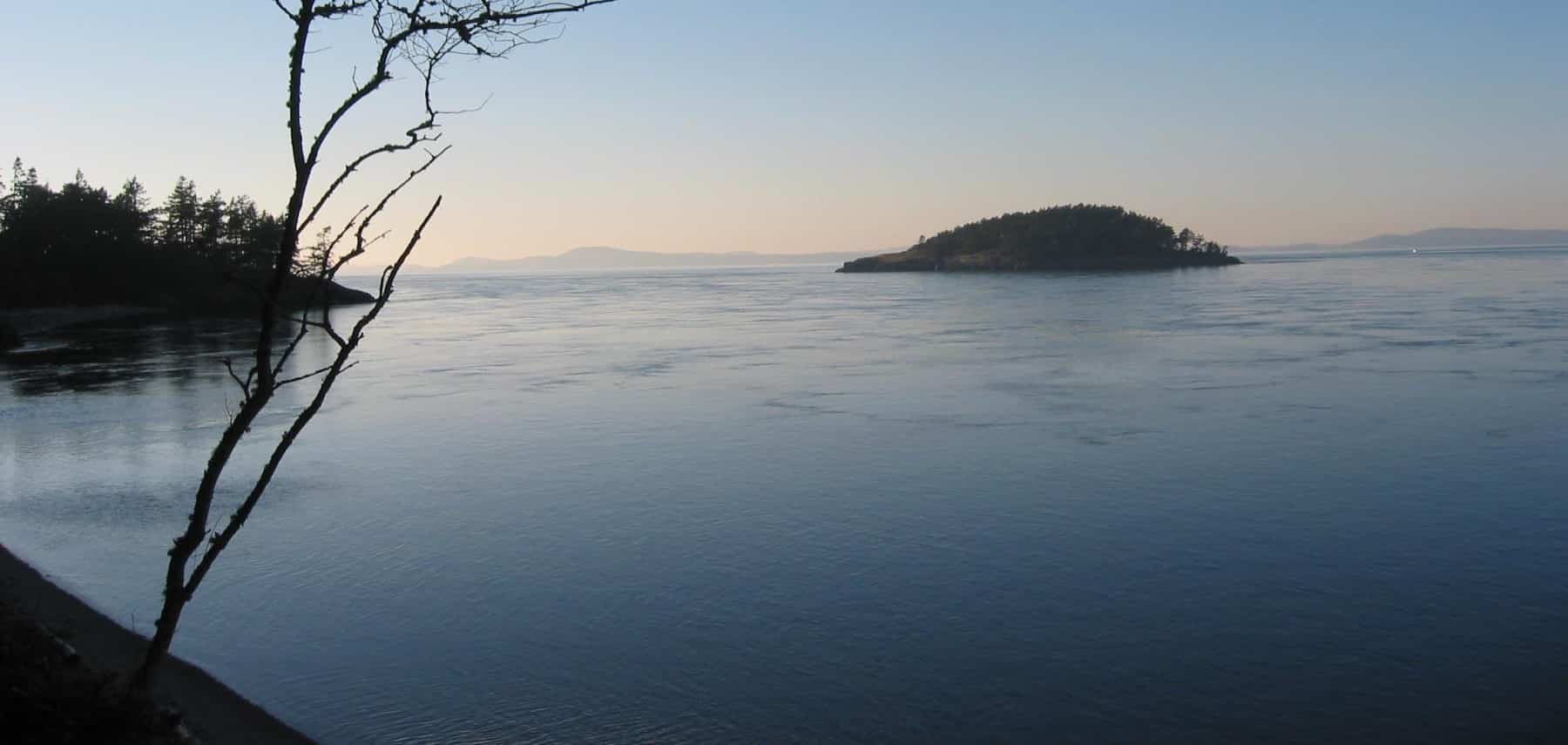 Washington-Whidbey-Island-Levy-Sheckler