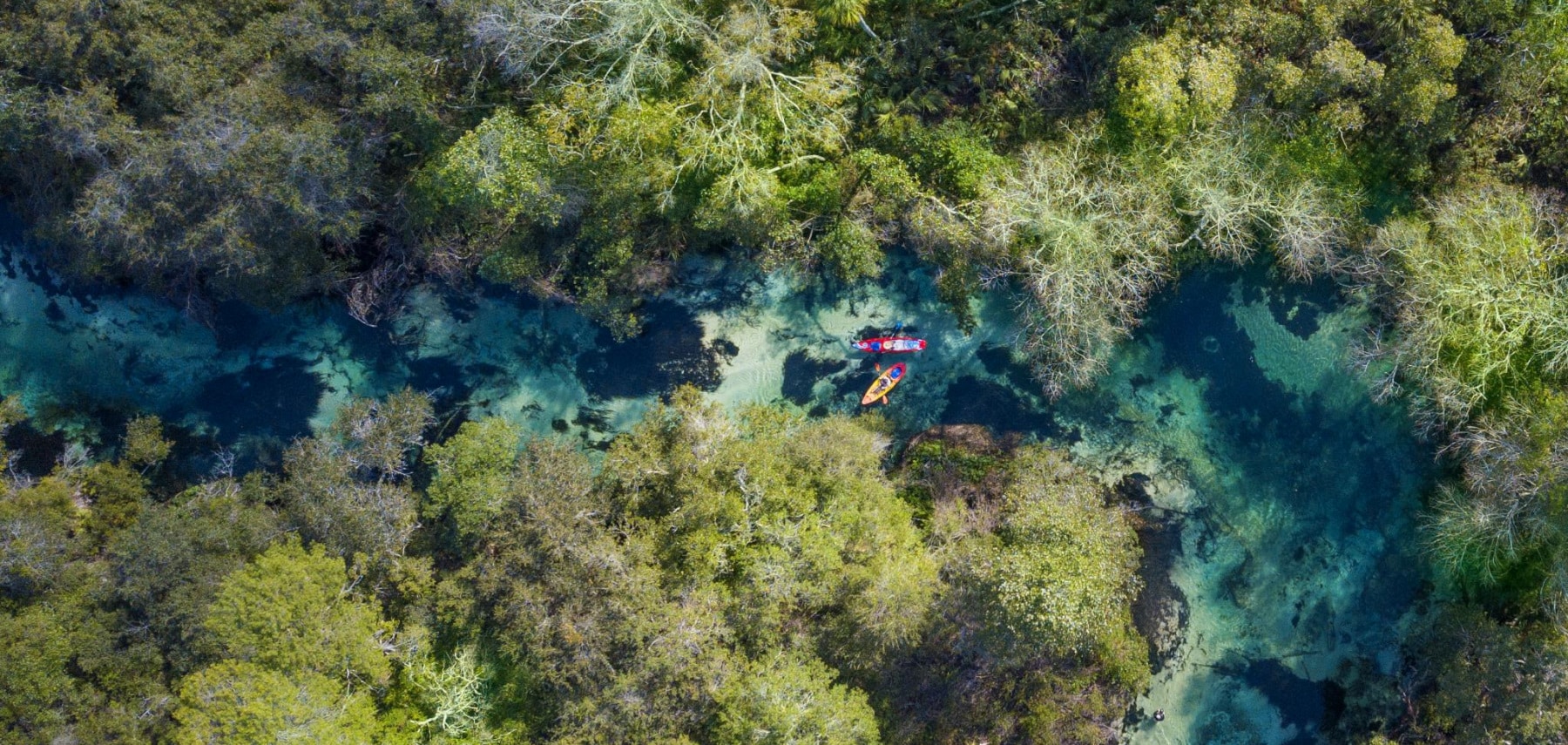 Weeki Wachee Springs State Park-1