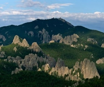 Black Hills National Forest