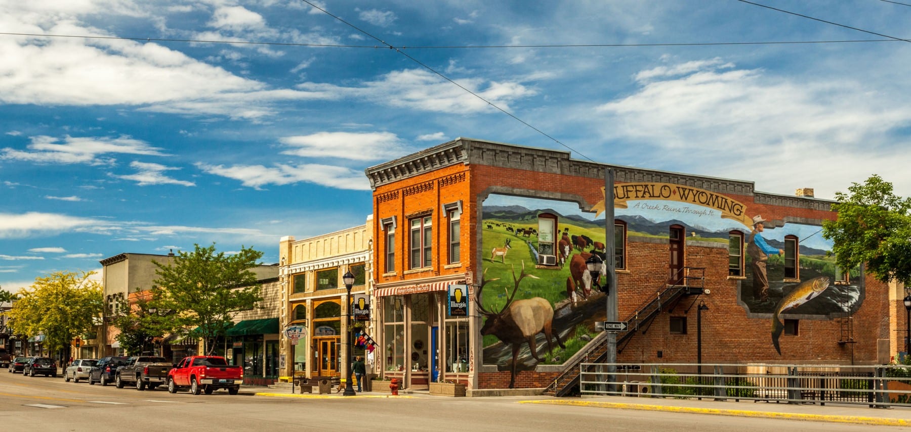 Wyoming-Buffalo (1)