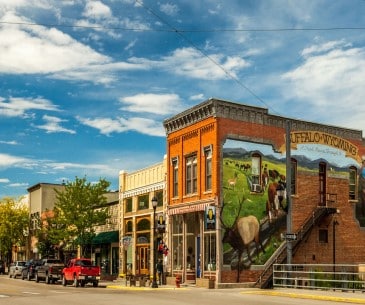 Image : Buffalo