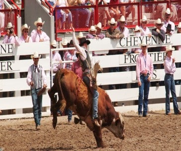 Image : Cheyenne Frontier Days