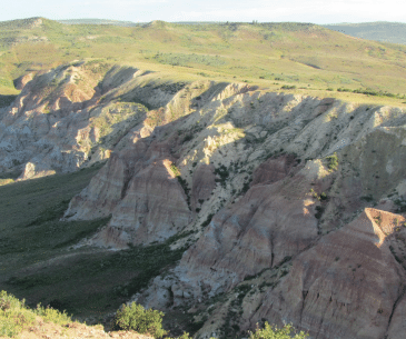 Image : Fossil Butte National Monument 