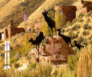 Image : National Museum of Wildlife Art