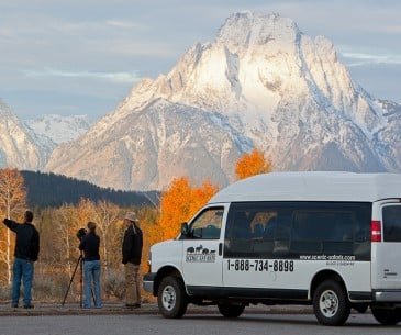 Safari animaux dans Grand Teton