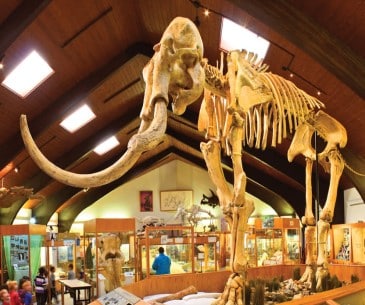 Image : Tate Geological Museum