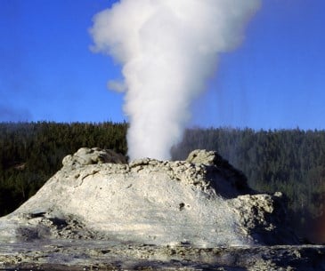 Image : Yellowstone National Park