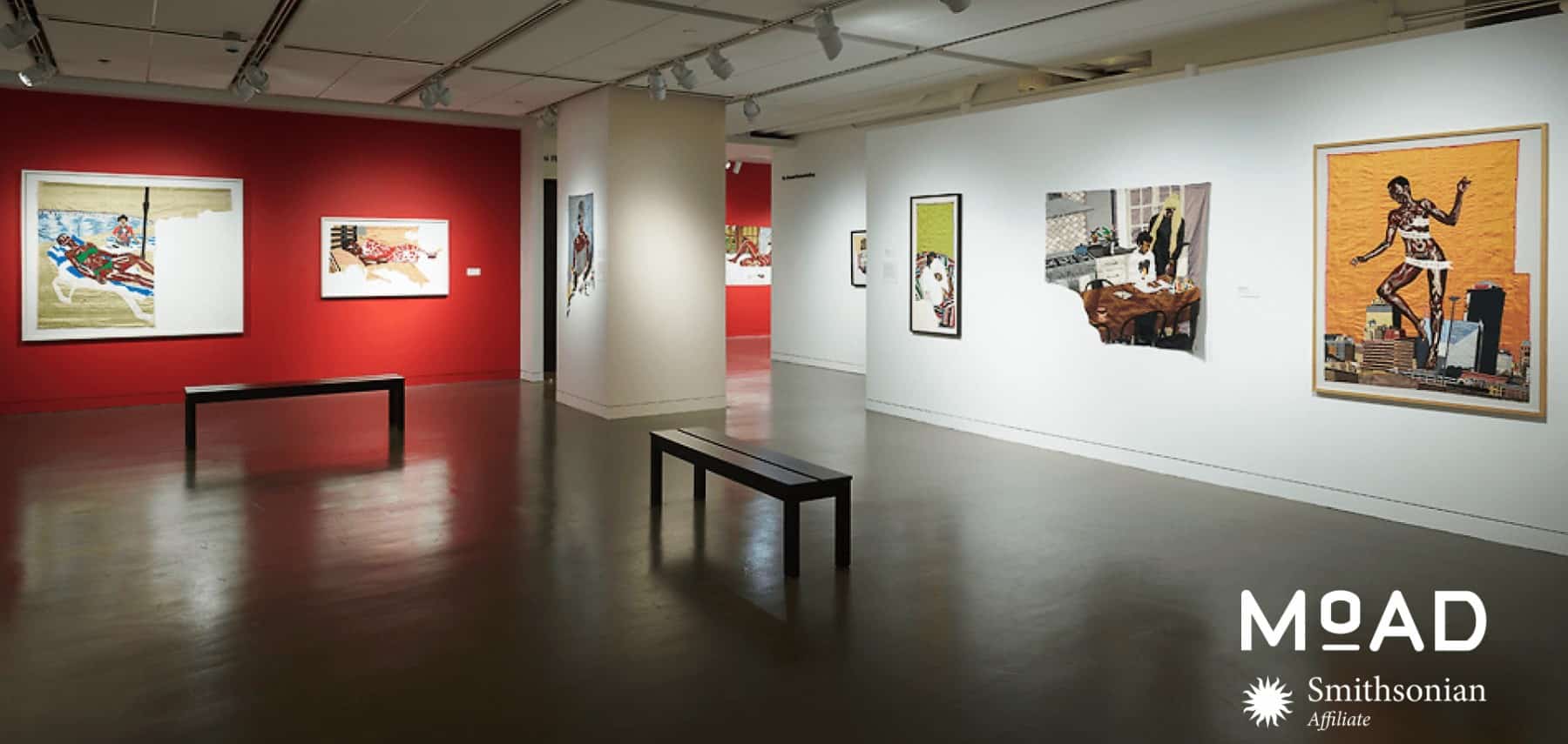 61ea6be72889235f839282d5_MoAD_Exhibition Gallery_1800