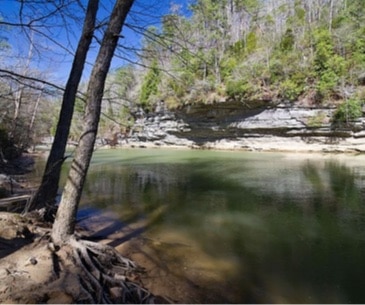 Image : Bankhead Forest & Sipsey Wilderness