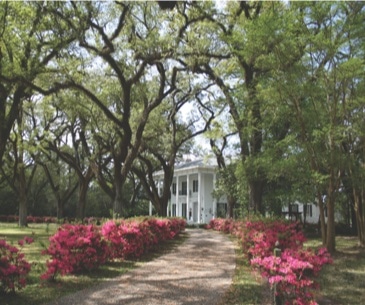 Image : Bragg-Mitchell Mansion