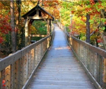 Image : Cheaha State Park