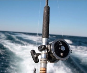Image : La pêche à Gulf Shores