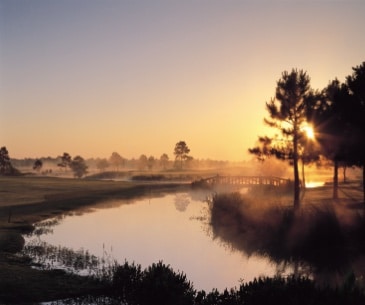 Image : Gulf Shores / Orange Beach