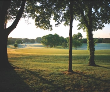 Image : Gulf State Park