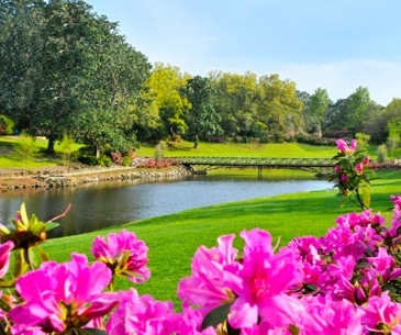 Image : Bellingrath Gardens