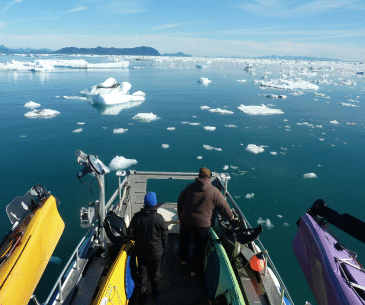Image : Croisière au cœur des fjords