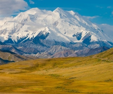 Image : Denali National Park and Preserve
