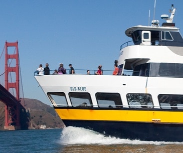 Image : Blue & Gold Fleet