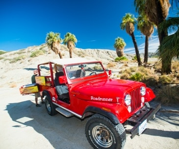 Image : Red Jeep Tours